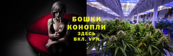 мяу мяу мука Карпинск