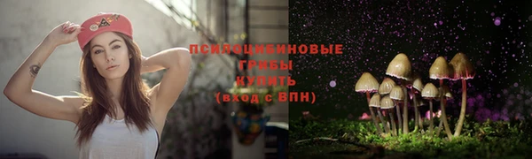 spice Карталы