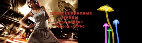 spice Карталы