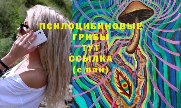 spice Карталы