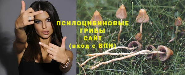 spice Карталы