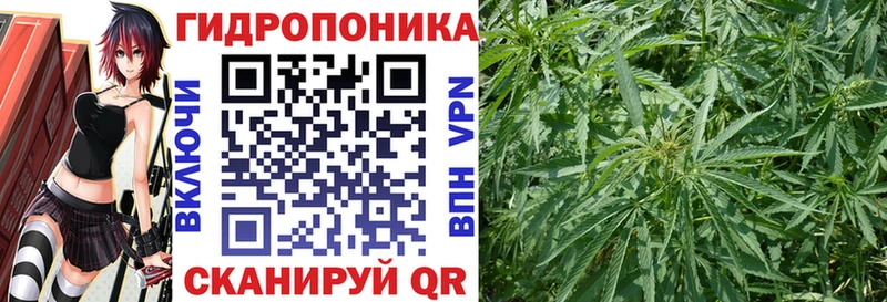 Канабис White Widow Клинцы